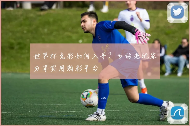 世界杯竞彩如何入手？专访老玩家分享实用购彩平台