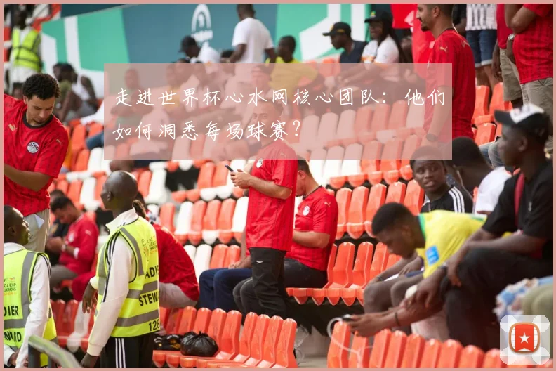 走进世界杯心水网核心团队:他们如何洞悉每场球赛?