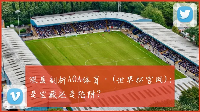 深度剖析AOA体育·(世界杯官网)：是宝藏还是陷阱？