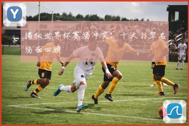 揭秘世界杯赛场冲突:十大打架名场面回顾