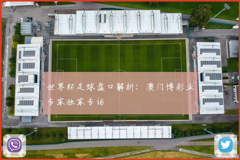世界杯足球盘口解析：澳门博彩业专家独家专访