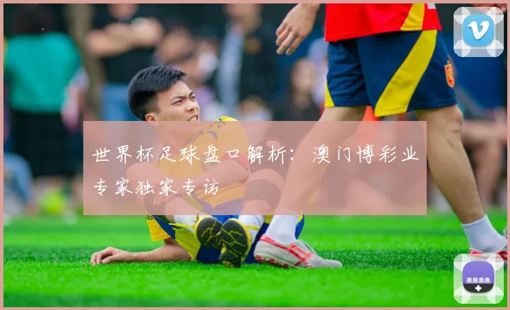 世界杯足球盘口解析:澳门博彩业专家独家专访