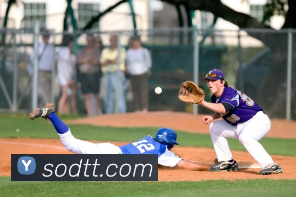 企业概况